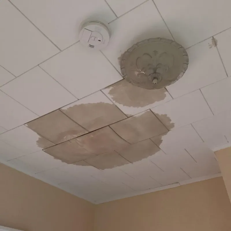 Ceiling Water Damage Repair in Suffield Depot, CT