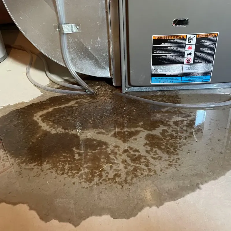 Pipe Burst and Leak Restoration in Suffield Depot, CT